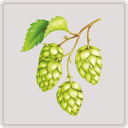houblon